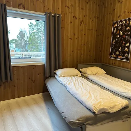 Northern Lights Νάρβικ